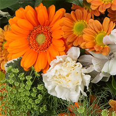 Florist&#39;s Choice Posy Pad